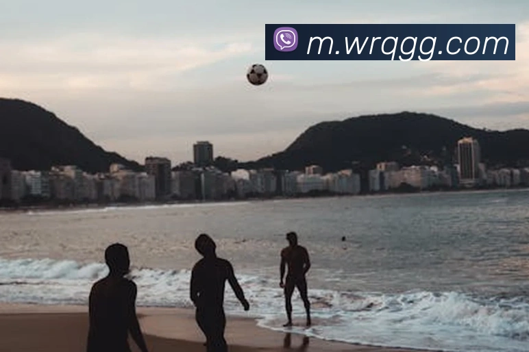 体育直播服务